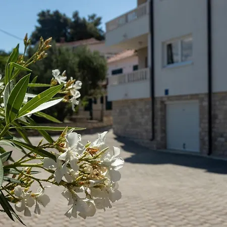 Apartment Janja
